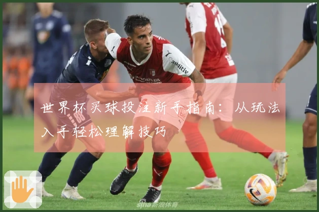 世界杯买球投注新手指南：从玩法入手轻松理解技巧