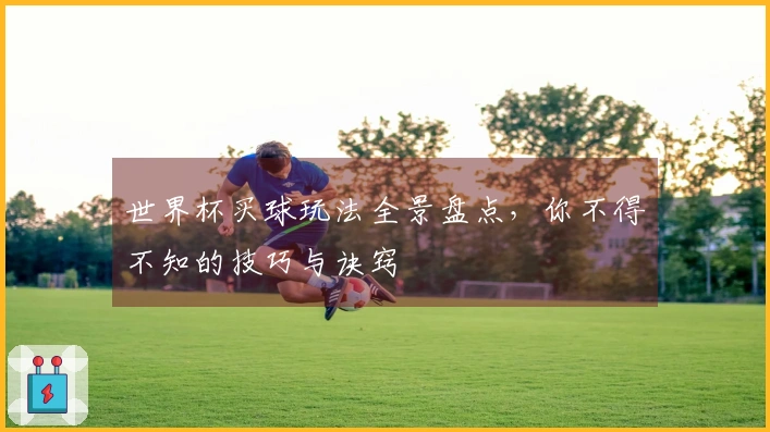 世界杯买球玩法全景盘点，你不得不知的技巧与诀窍